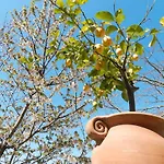 Bacio Del Sole ベッド・アンド・ブレックファスト