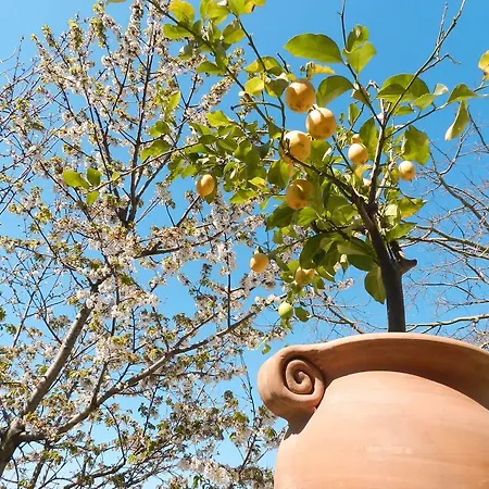 Bacio Del Sole לינה וארוחת בוקר