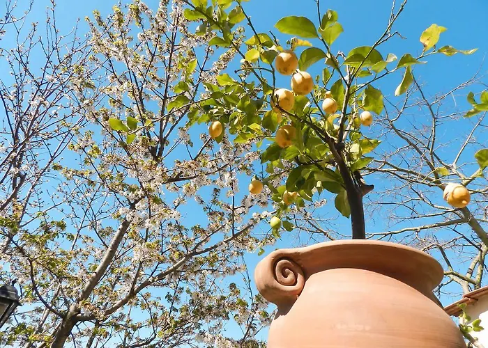 Bacio Del Sole לינה וארוחת בוקר